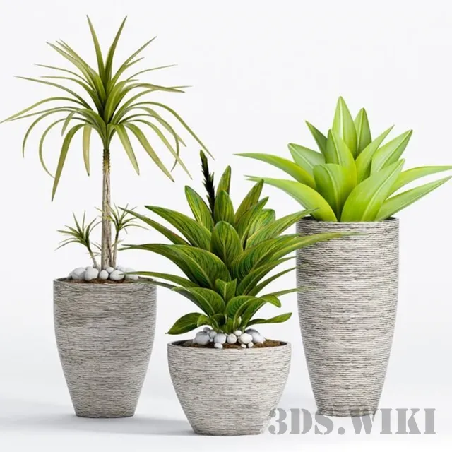 decoration – Decorative plants in pots 3D Model