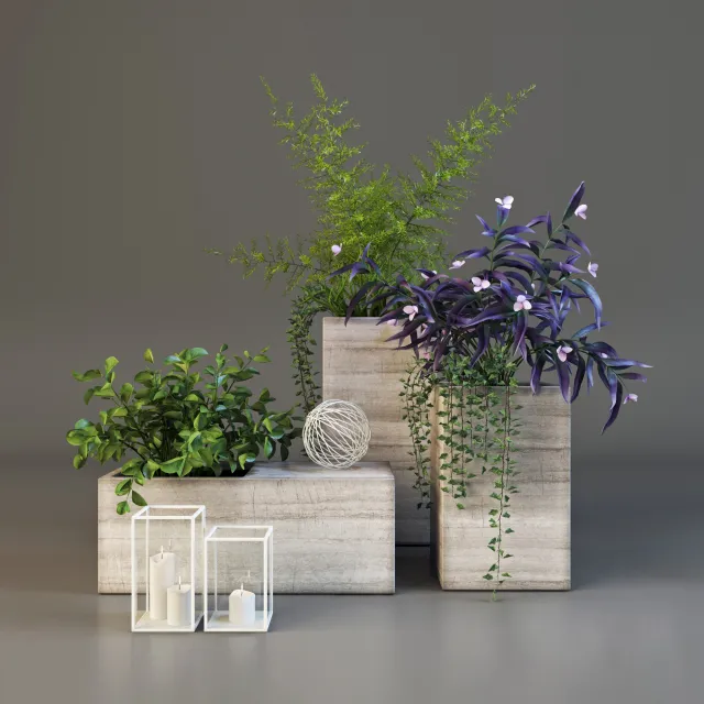 decoration – Decorative plants set 6 3D Model