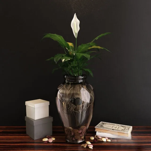 decoration – Decorative Set 003 3D Model