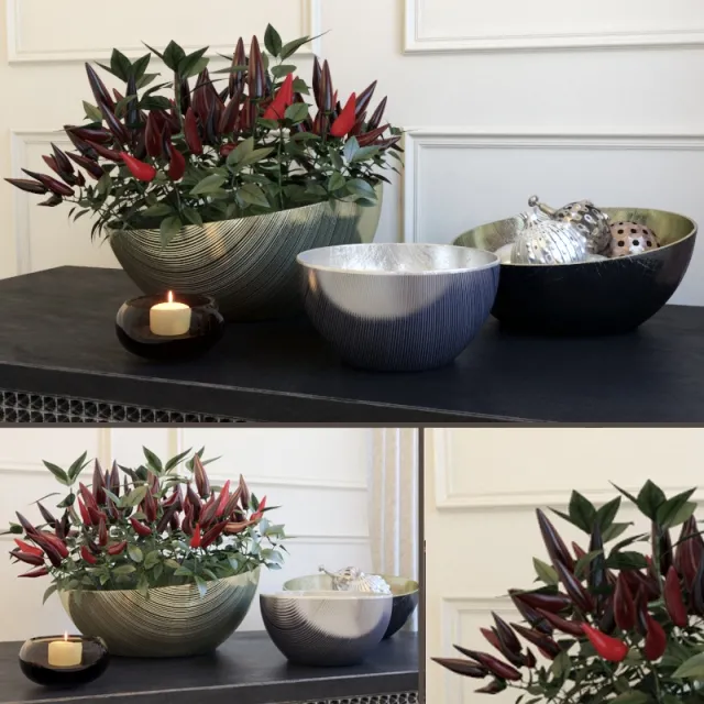 decoration – Decorative set with peppers 3D Model