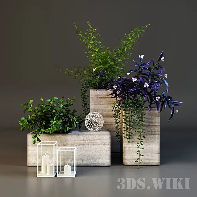 decoration – Decorative set with plants 3D Model