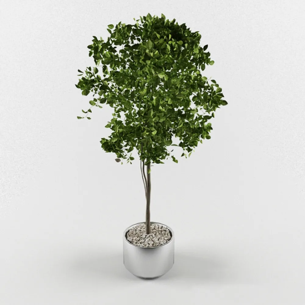 decoration – Decorative tree 3D Model