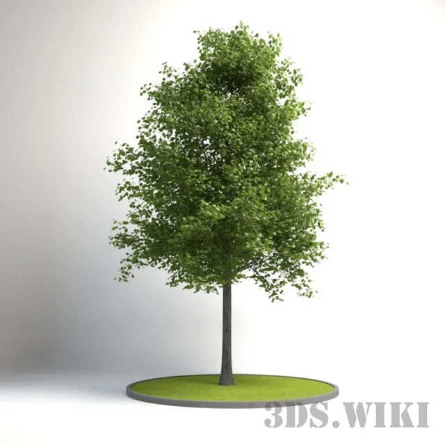decoration – Decorative tree for the exterior 3D Model