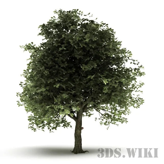 decoration – Decorative tree for the yard 3D Model