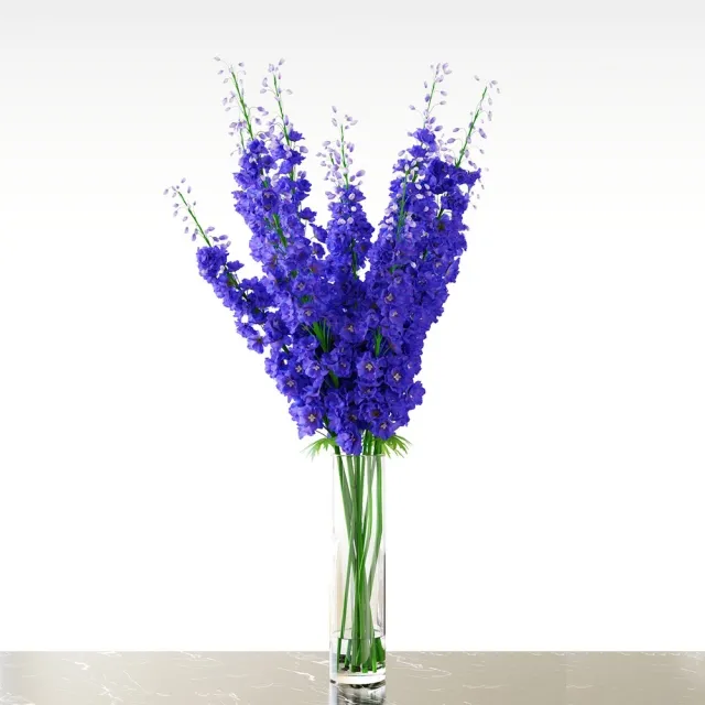 decoration – Delphinium  Blue 3D Model