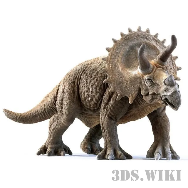 decoration – Dinosaur Triceratops 3D Model