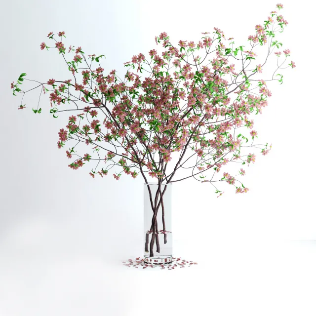 decoration – Dogwood pink flowers 7 3D Model