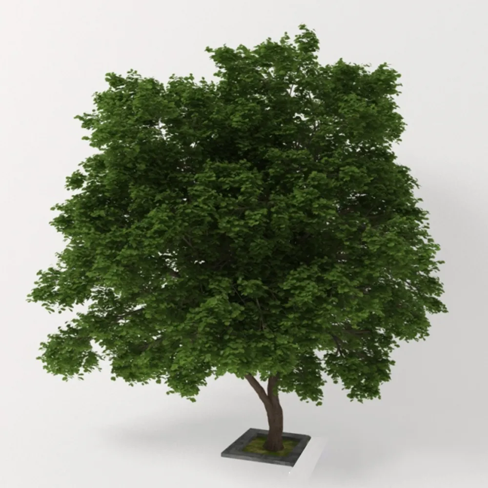 decoration – Double stem tree 3D Model