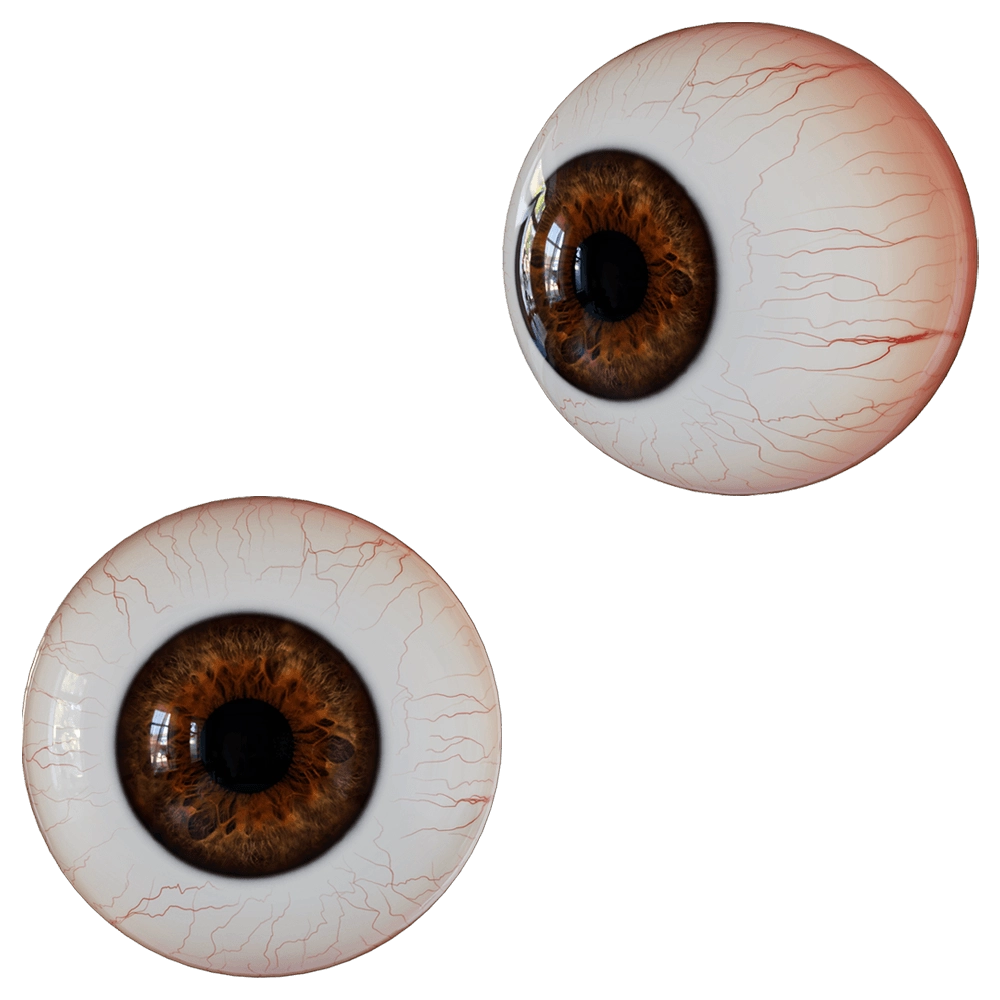 decoration – Eyeball 3D Model decoration – Eyeball 3D Model