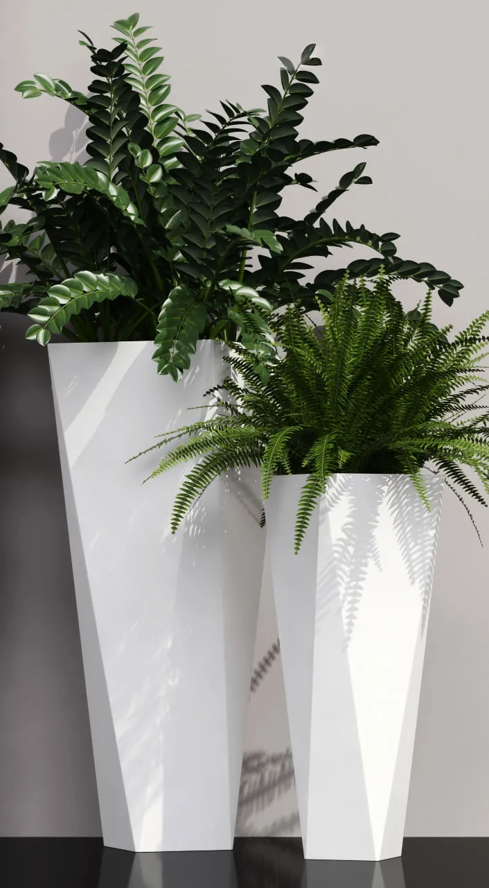 decoration – Ferns in pots 3D Model