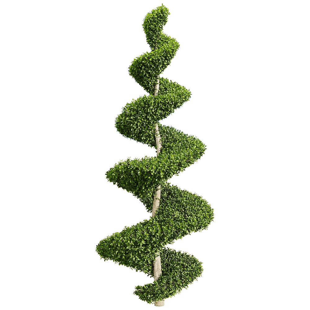 decoration – Ficus concinna 6 3D Model decoration – Ficus concinna 6 3D Model