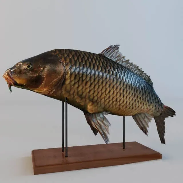 decoration – Figurine Fish 3D Model decoration – Figurine Fish 3D Model