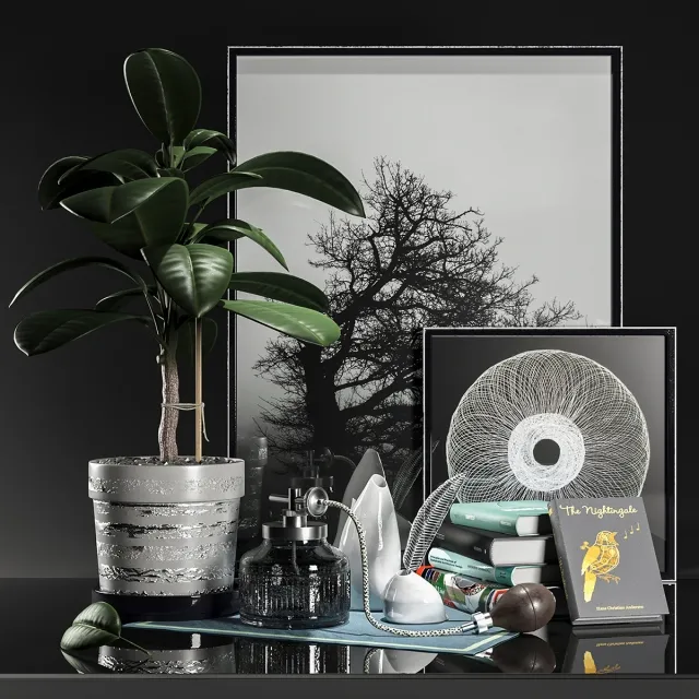 decoration – fikus 3D Model