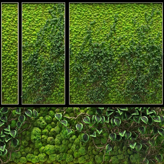 decoration – Fito wall 3D Model