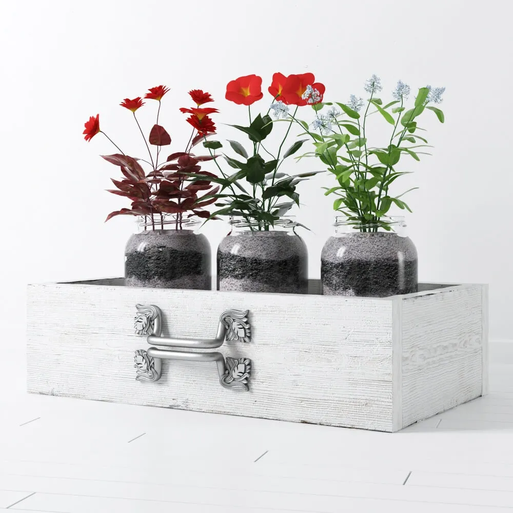 decoration – Flower plant 12 3D Model