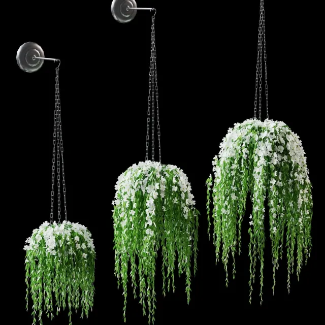 decoration – Flowers in pots 3D Model