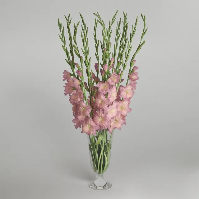 decoration – Gladiolus 3D Model