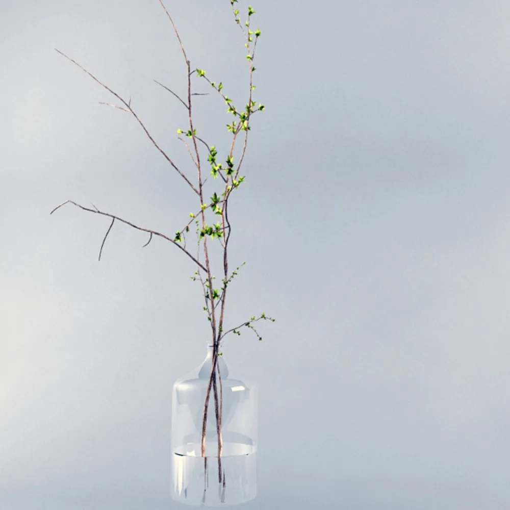 decoration – Glass jar with plant 3D Model