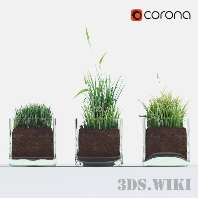decoration – Glass vases with herbs 3D Model