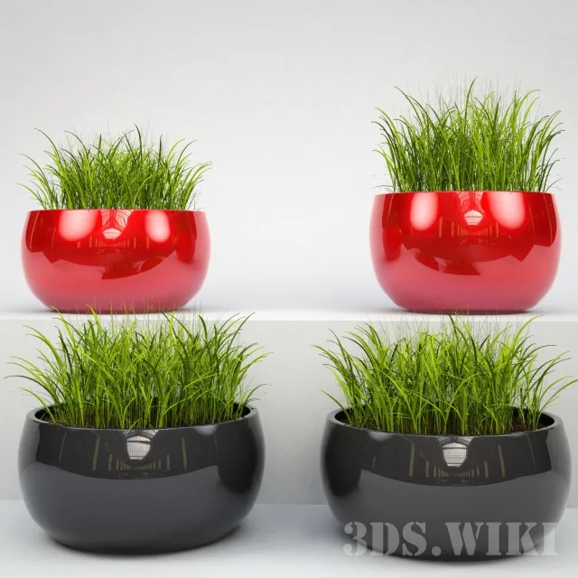 decoration – Grass in beautiful pots 3D Model