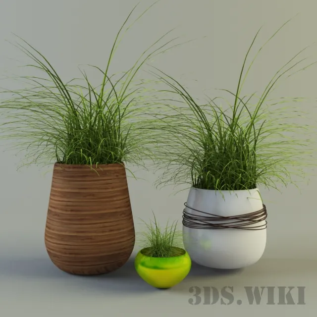 decoration – Grass in designer pots 3D Model