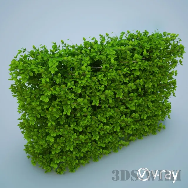 decoration – Green Grass – Lawn Bush 3D Model