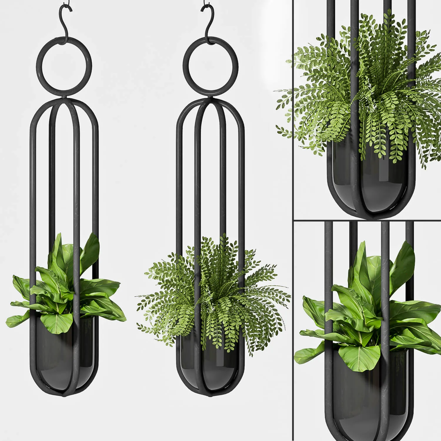 decoration – Hanging plants 02 3D Model