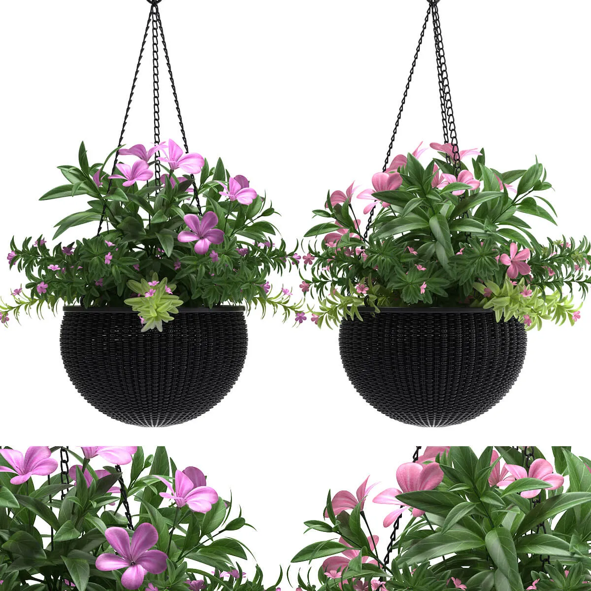 decoration – Hanging plants 03 3D Model