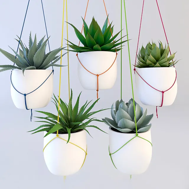 decoration – Hanging plants 05 3D Model