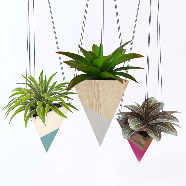 decoration – Hanging plants 06 3D Model