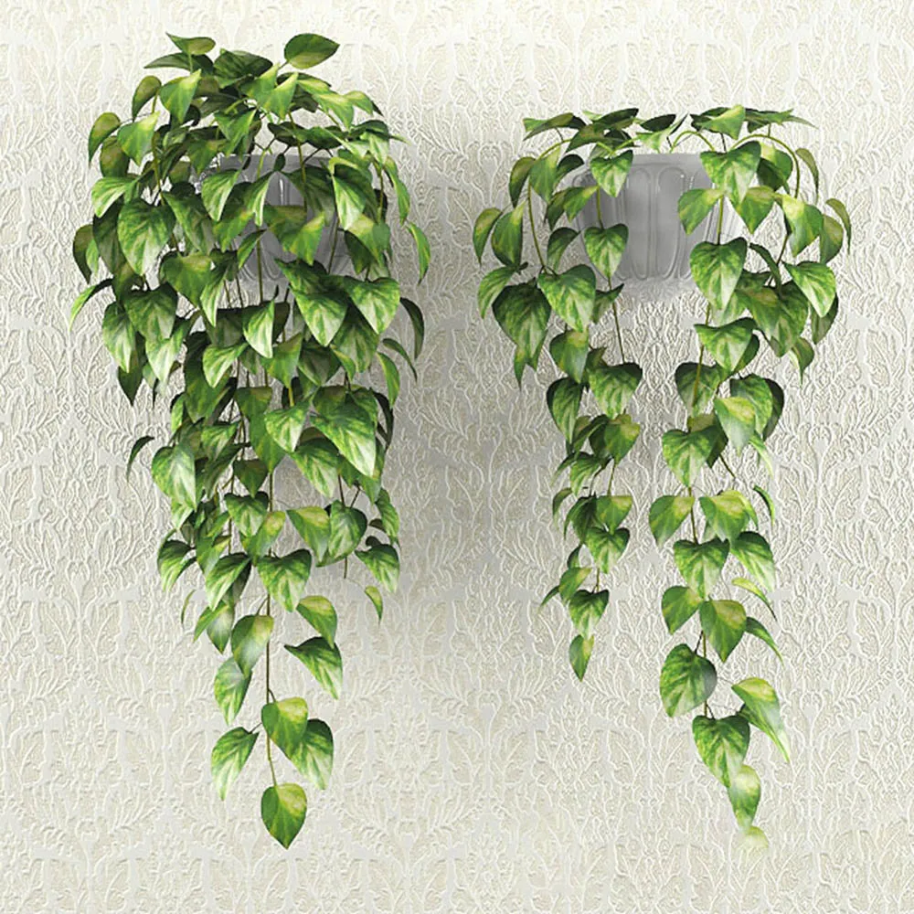 decoration – Hedera loach bush 3D Model