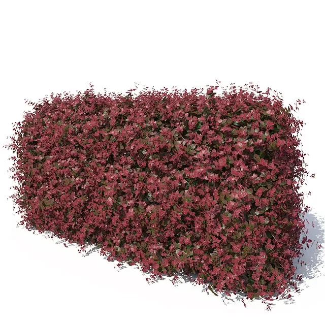 decoration – Hedge 3D Model