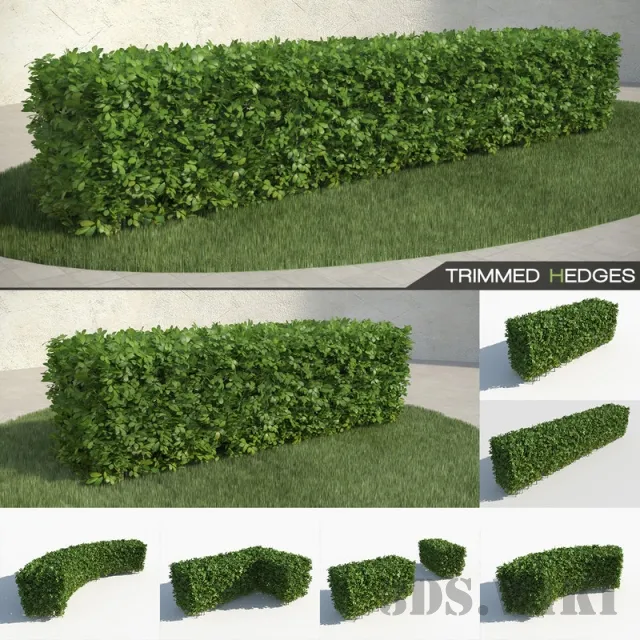 decoration – Hedge lenght 250 cm 3D Model decoration – Hedge lenght 250 cm 3D Model