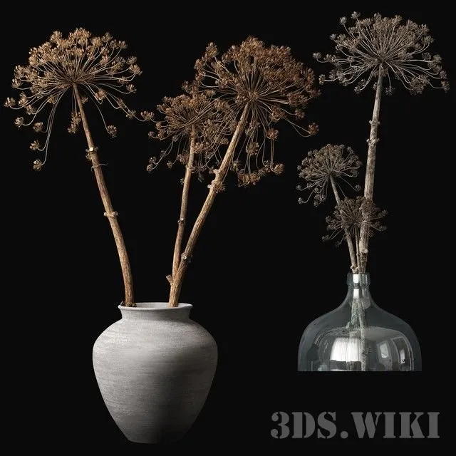 decoration – Heracleum in a vase 3D Model