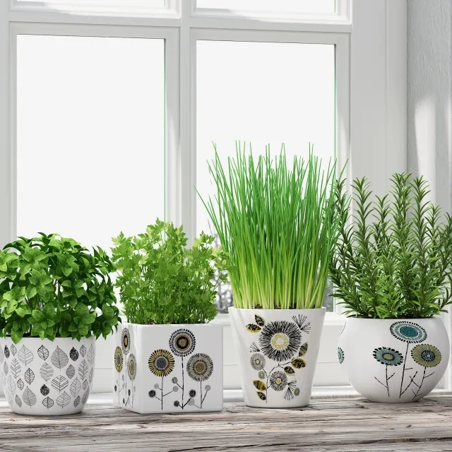 decoration – Herbs 3D Model