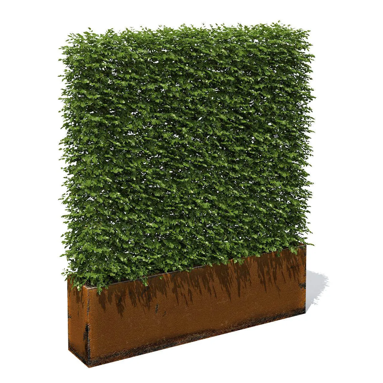 decoration – High hedges 19 3D Model