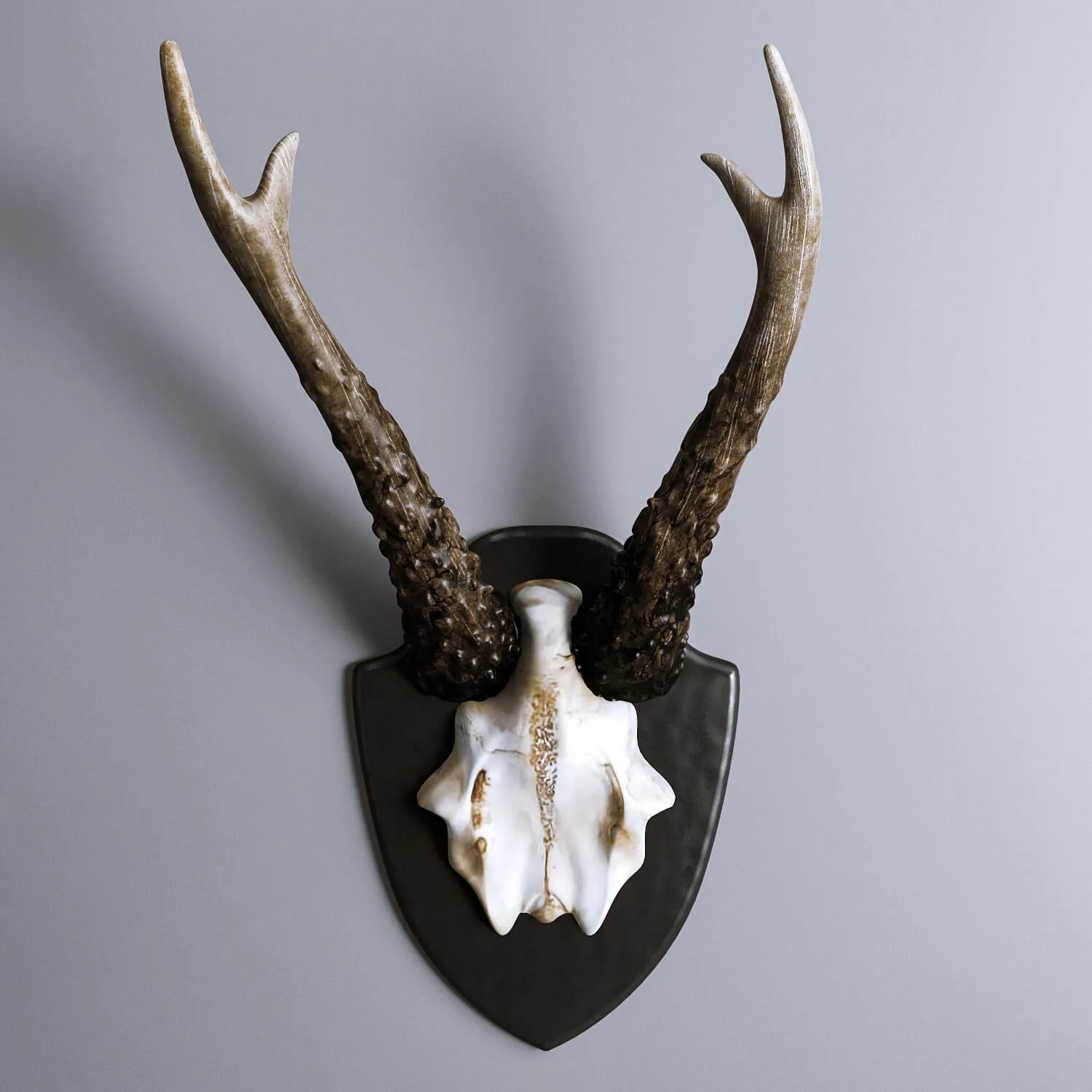 decoration – HKliving Artificial Deer Antler 3D Model decoration – HKliving Artificial Deer Antler 3D Model