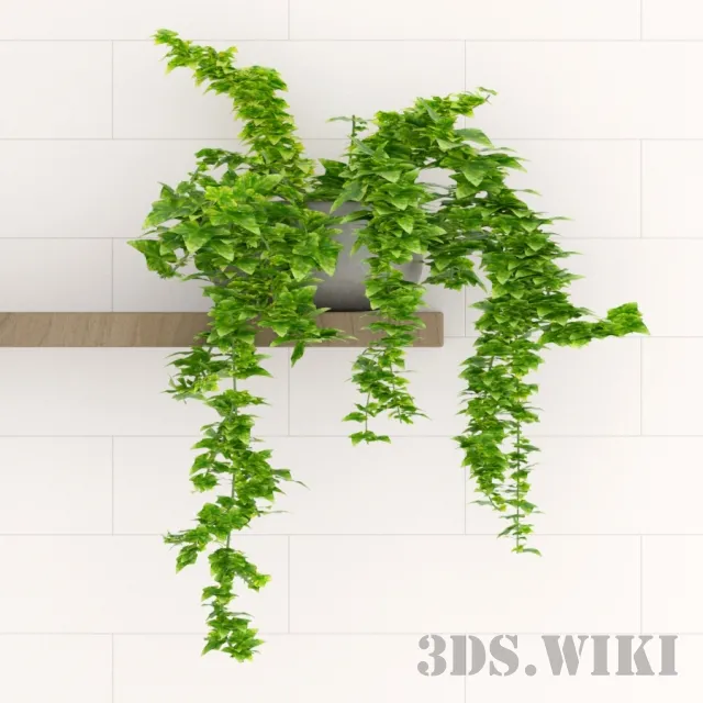 decoration – Home flowers heder 3D Model