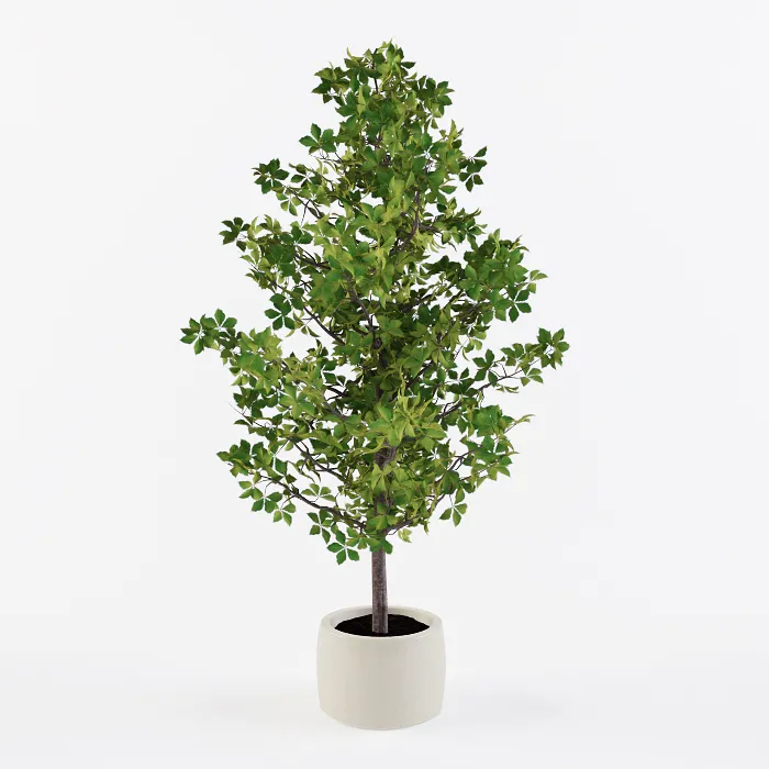 decoration – Homemade tree 002 3D Model