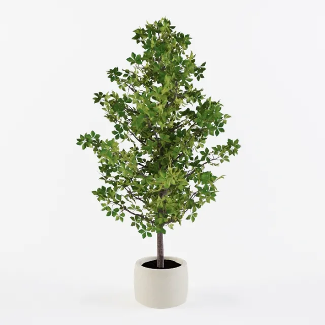 decoration – Homemade tree 3D Model