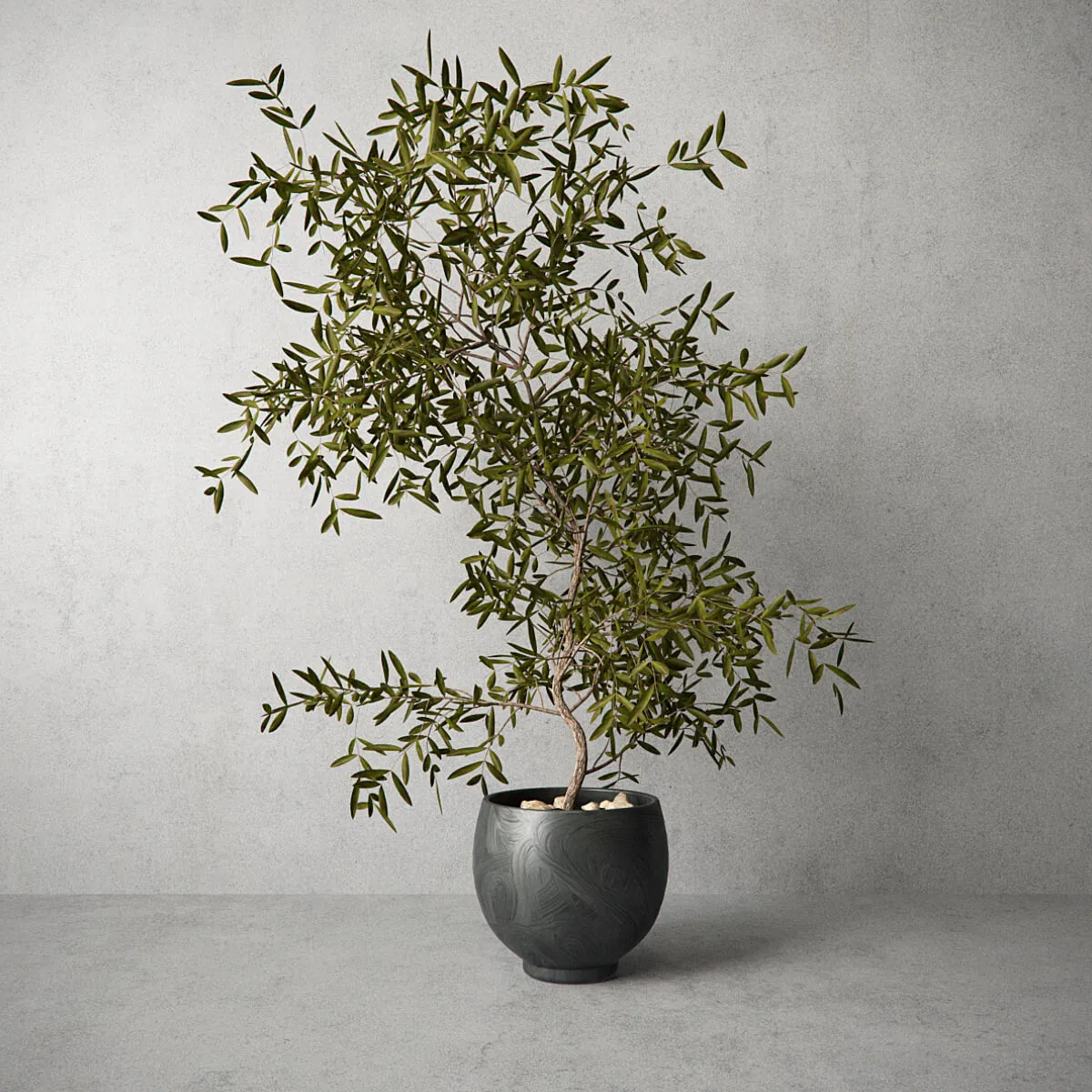 decoration – Houseplant 055 3D Model