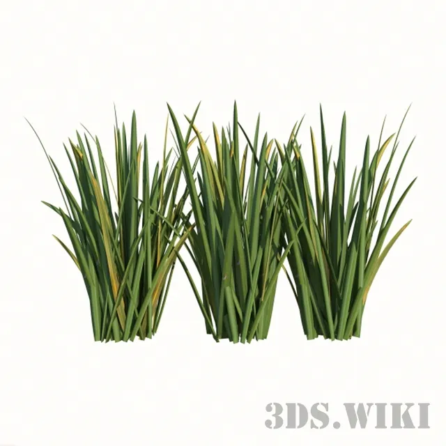 decoration – Houseplants For Ios 3D Model