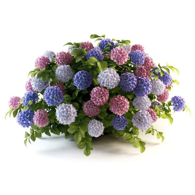 decoration – Hydrangea cluster 3D Model