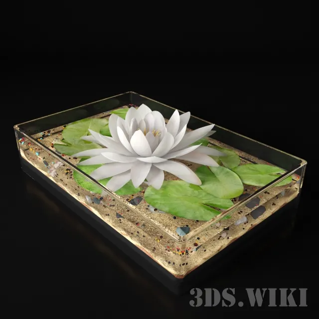 decoration – Indoor lily flower in the aquarium 3D Model