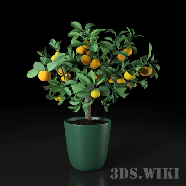 decoration – Indoor orange 3D Model