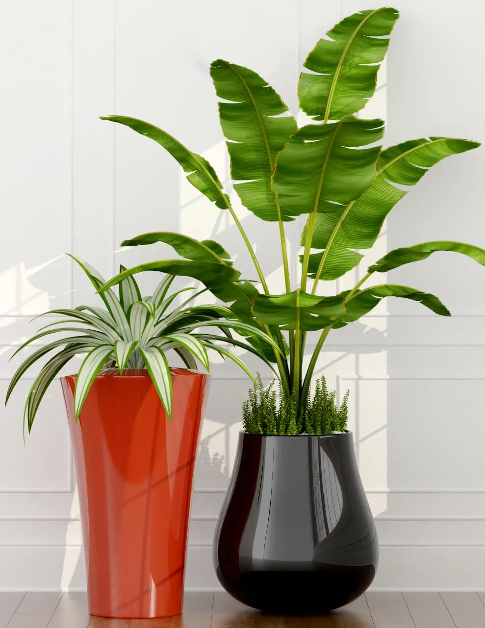 decoration – Indoor plants 3D Model