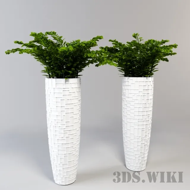 decoration – Indoor plants in beautiful vases 3D Model