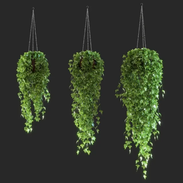decoration – Ivy in the pot 3D Model