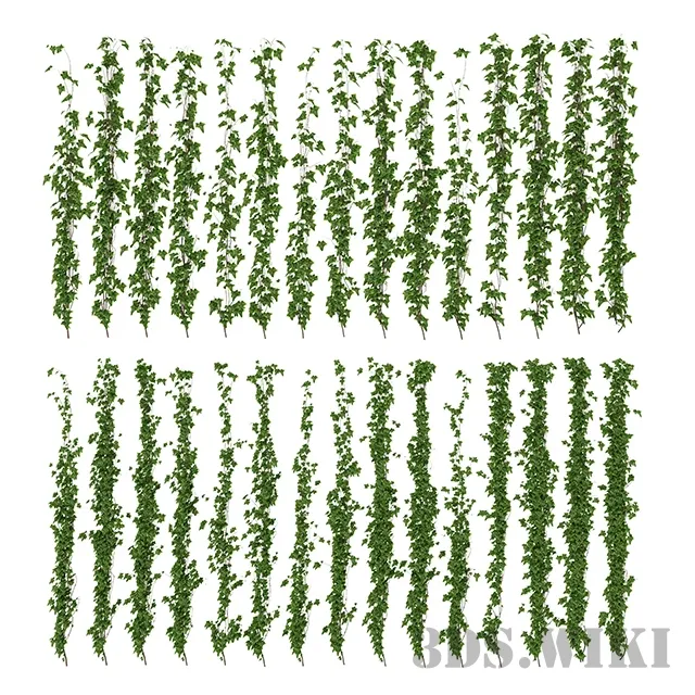decoration – Ivy leaf wall 3D Model