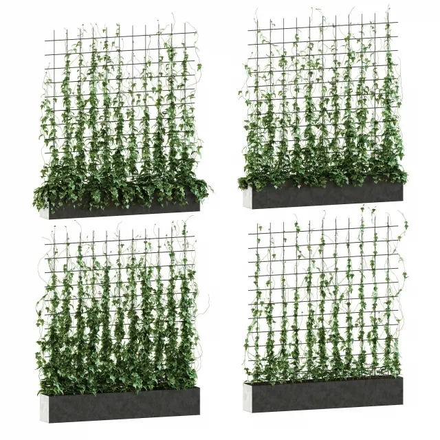 decoration – Ivy on the grid 3D Model